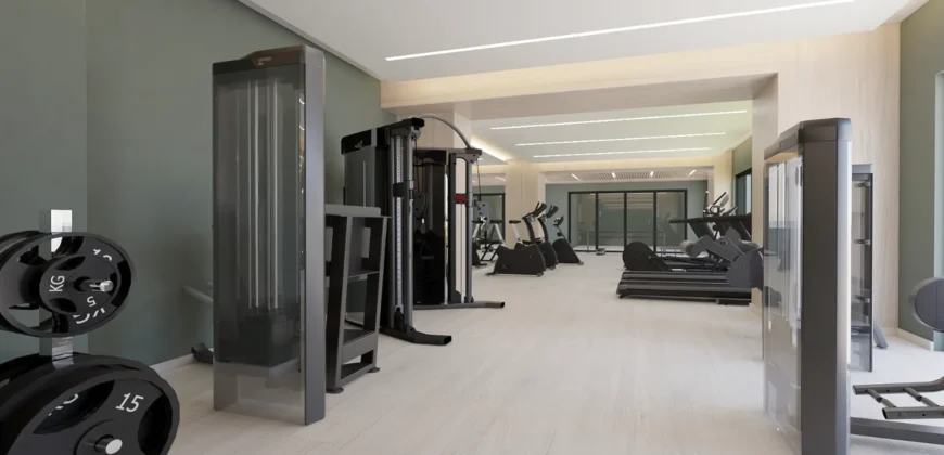 STAY MOEMA – STUDIO