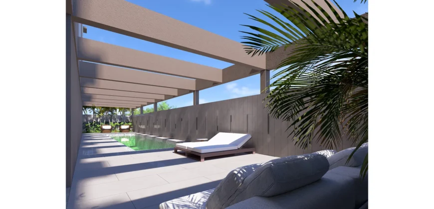 STAY MOEMA – STUDIO