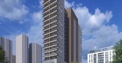 STAY MOEMA – STUDIO